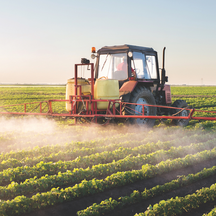 EPA: Glyphosate poses no human health risks